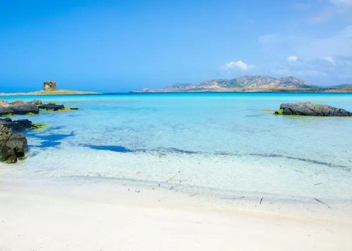 Comfortable Near Beaches *